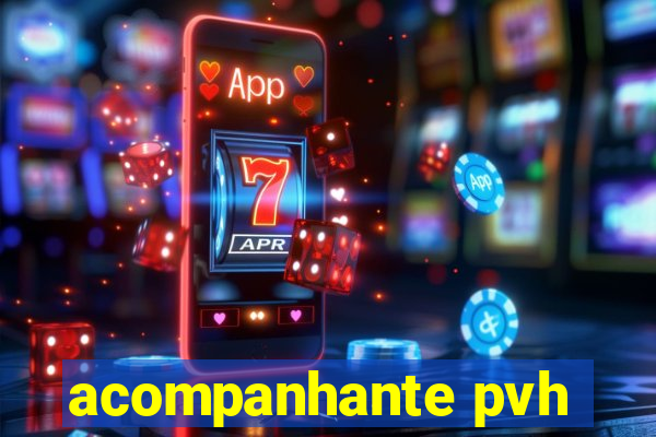 acompanhante pvh